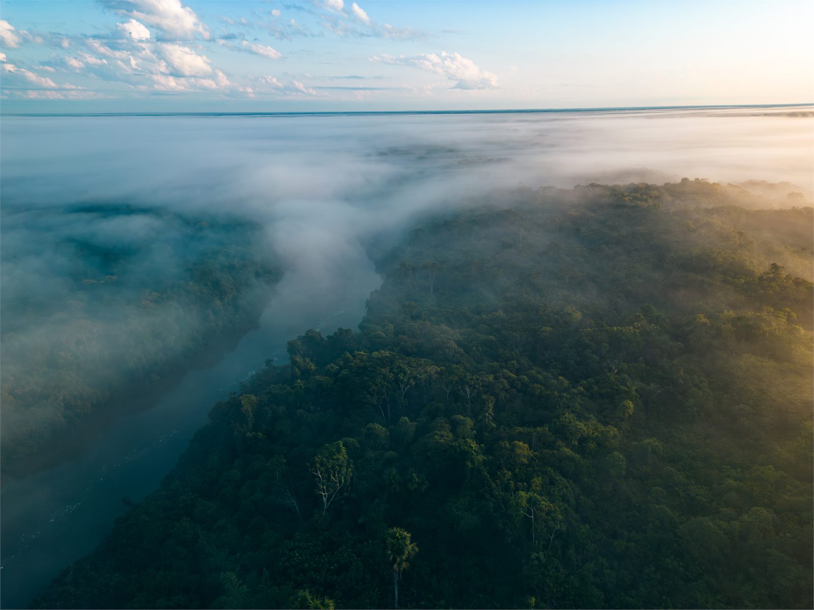Cuántos Días Necesitas en el Amazonas: Guía Completa por Temporada y Presupuesto