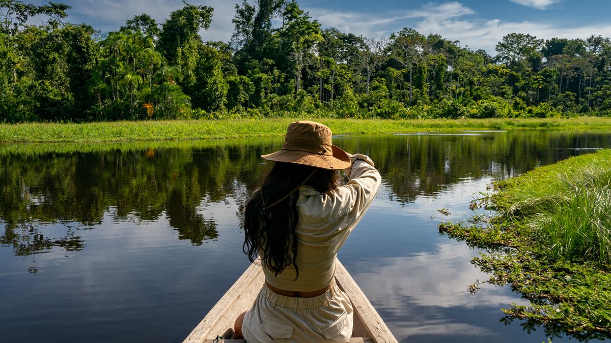 Delfines rosados del Amazonas cerca de Leticia