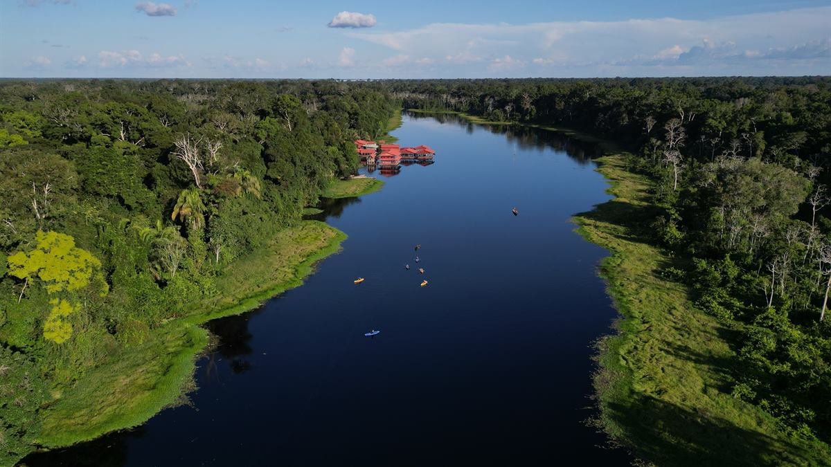 Temporadas del Amazonas: Verano e Invierno — ¿Cuál Es la Tuya?