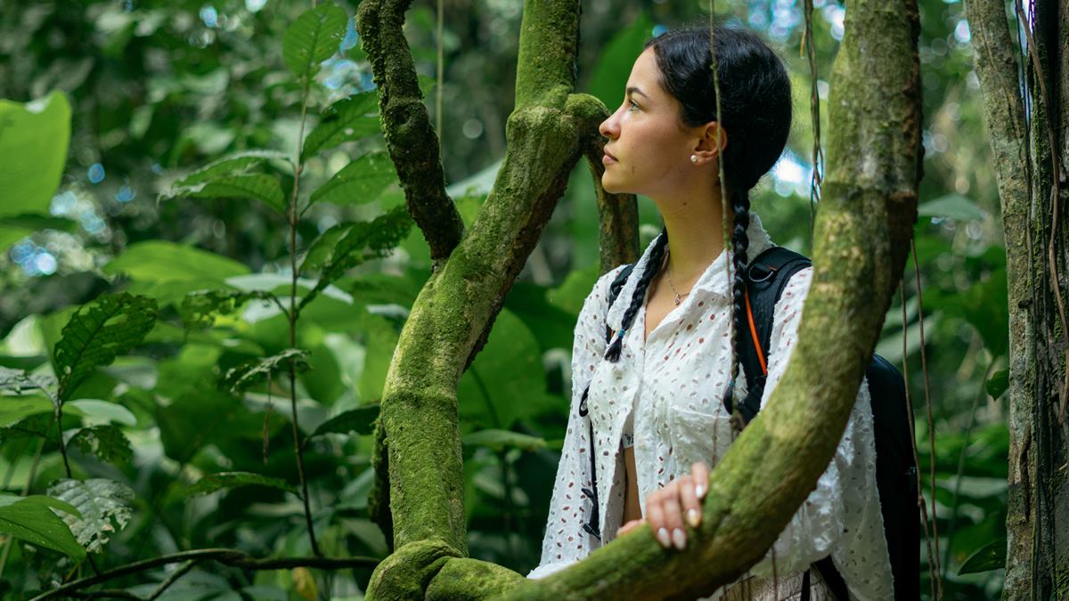 Verano en el Amazonas Colombiano: Playas, Fauna y Selva Seca
